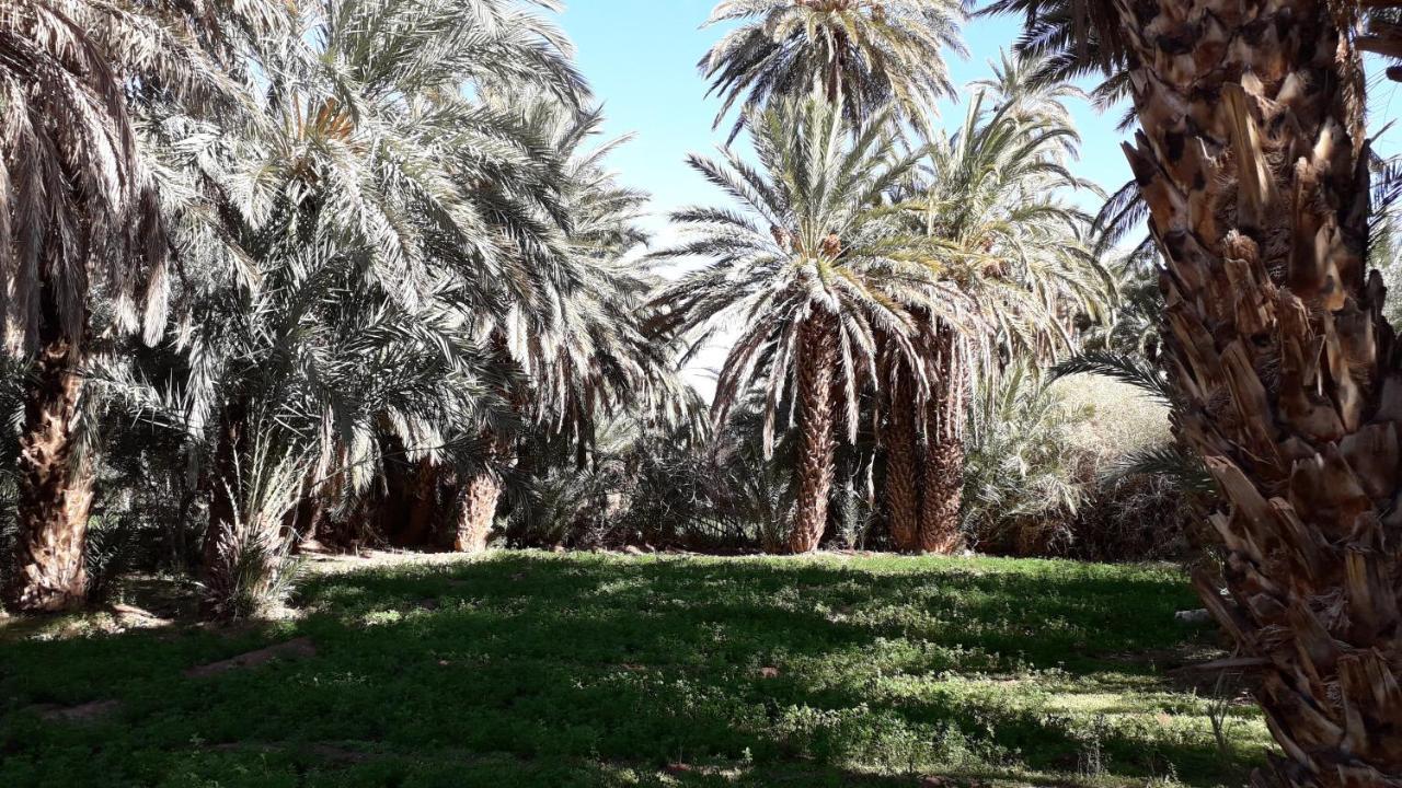 Riad Sarayas Tajda Exterior photo