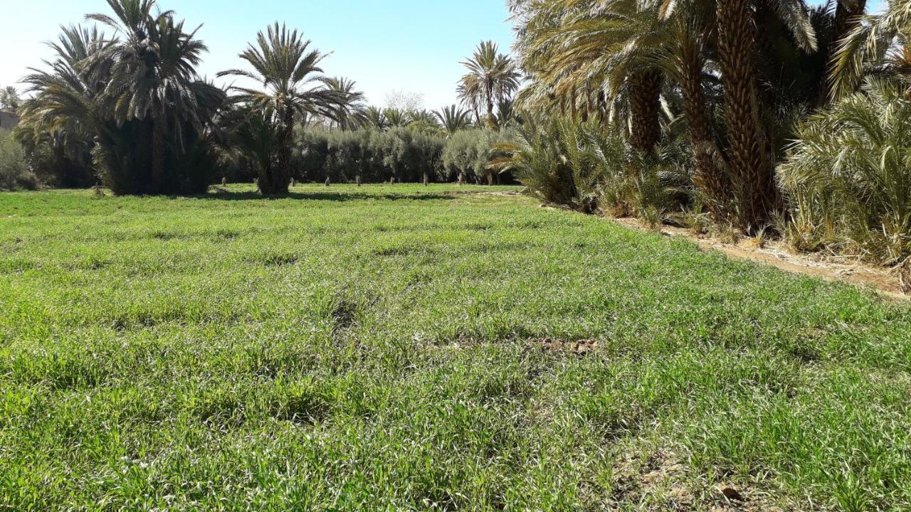 Riad Sarayas Tajda Exterior photo